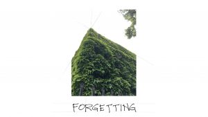 Flashcard: Forgetting