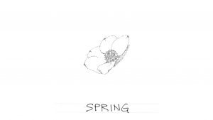 Flashcard: Spring